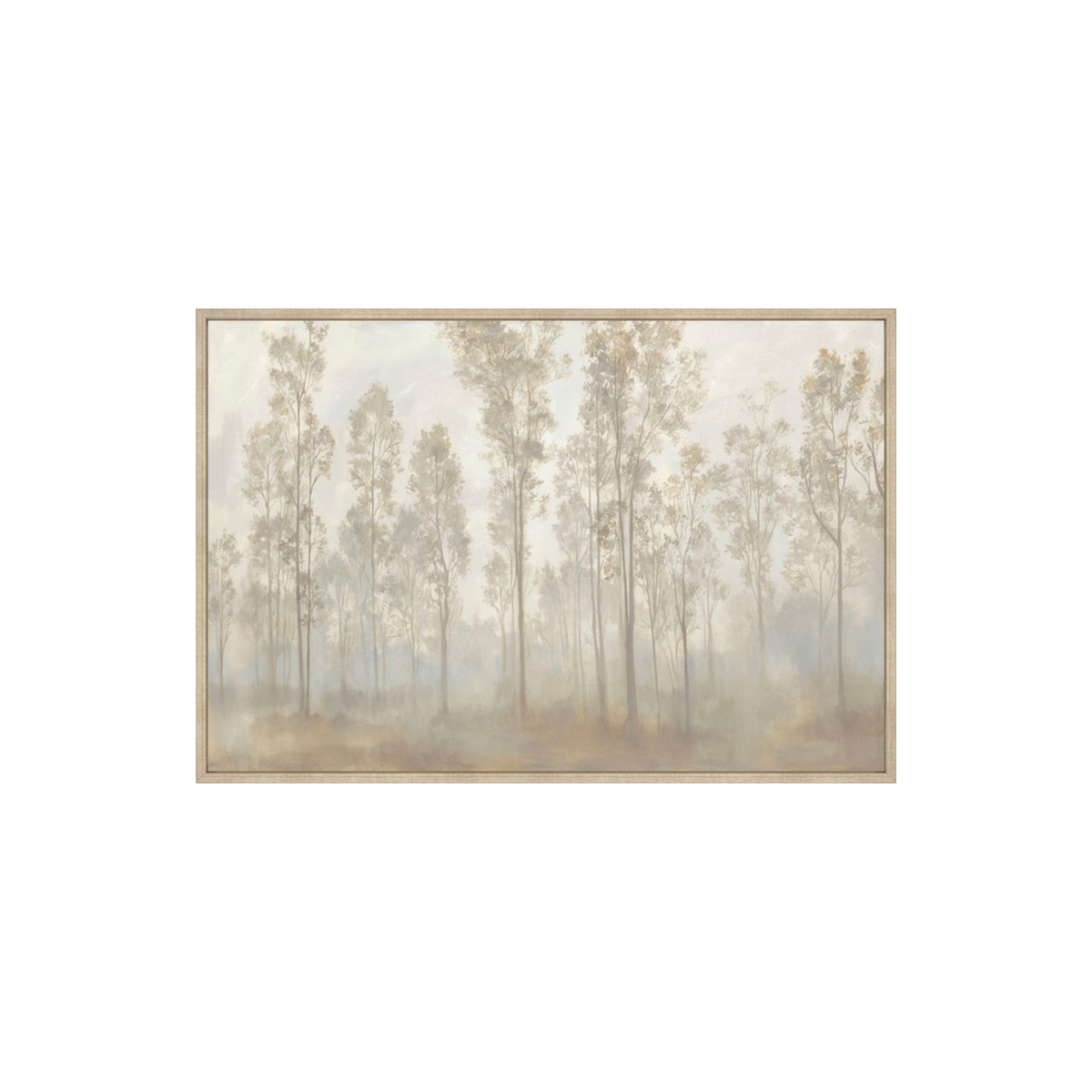 FOREST RENEWAL