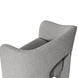 ANAYA DINING CHAIR