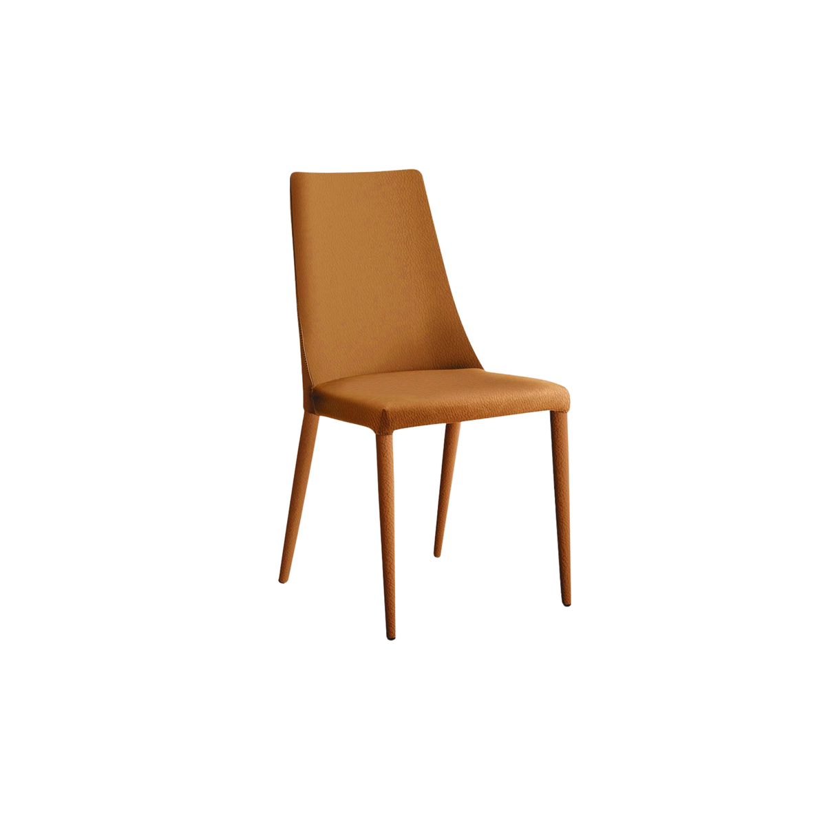 ALOE DINING CHAIR