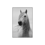PORTRAIT OF PURITY